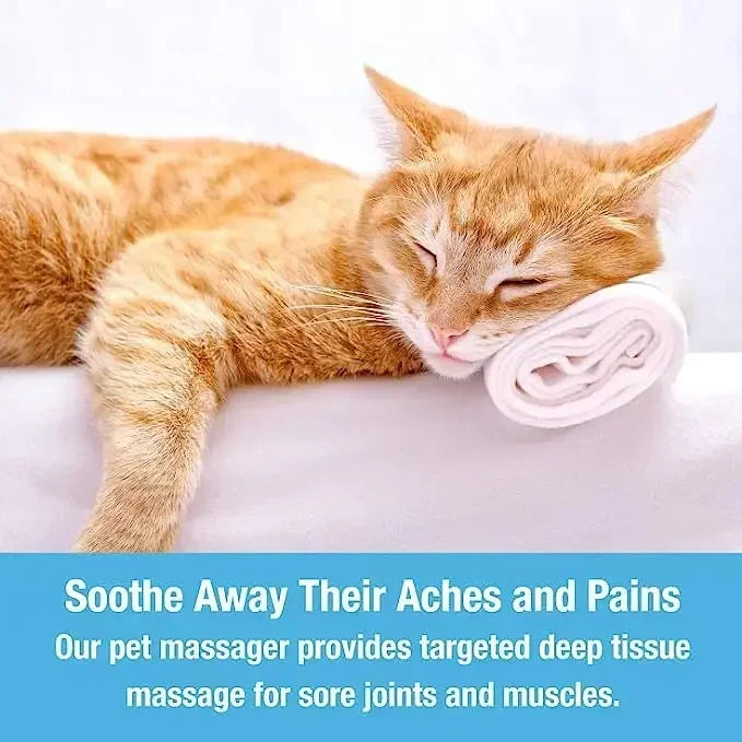 Electric Cat Massager Head Back Scratcher