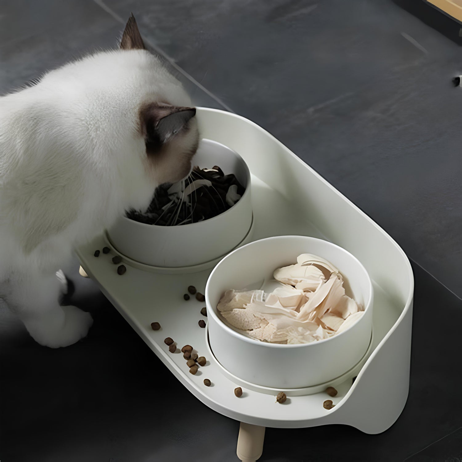 Pet Food & Water Bowls