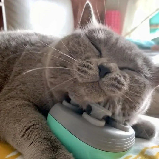 Electric Cat Massager Head Back Scratcher
