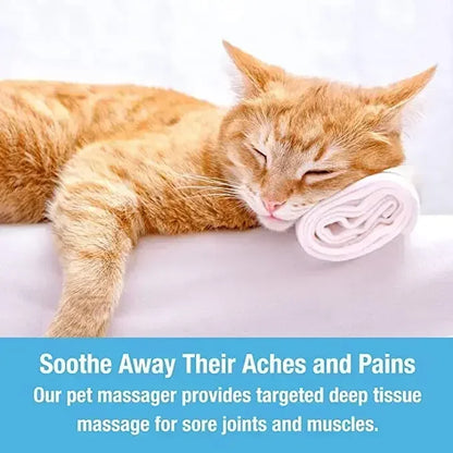 Electric Cat Massager Head Back Scratcher